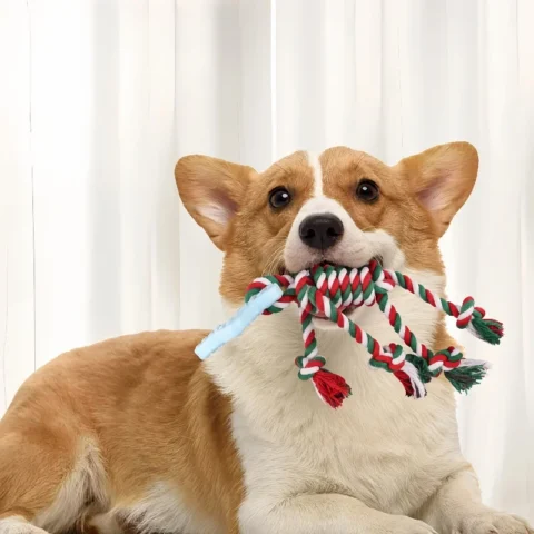 Halloween Starfish Cotton Rope Dog Toy Chew Resistant Teeth Grinding Interactive Toy for Small Medium Dogs Bite Proof Pet Rel
