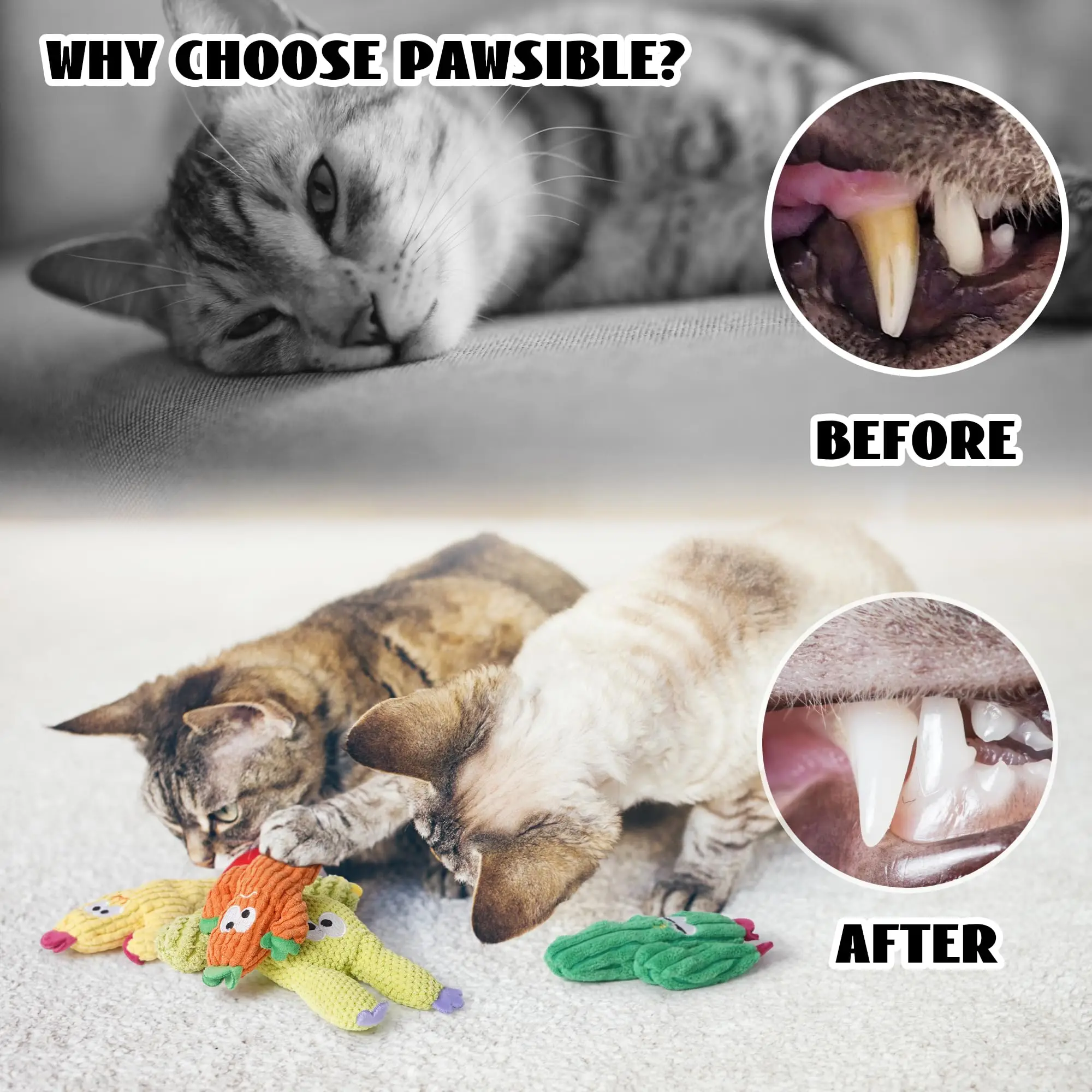 1/5 PCS Cat Toys for Indoor Cats,100% Pure Organic Catnip-Filled Toys Without Cotton,Interactive Cactus Toy for Anxiety Relie