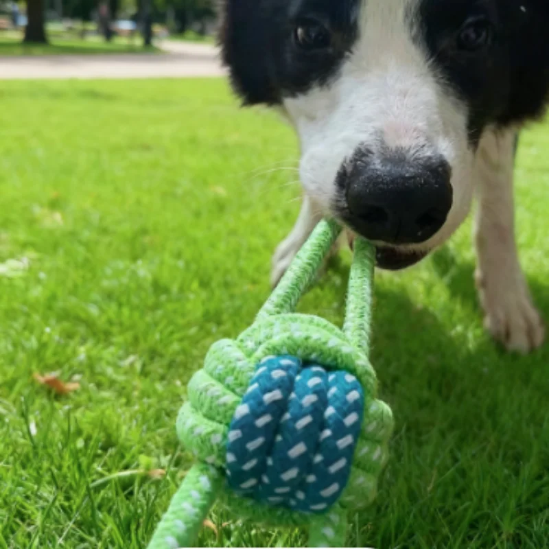 Mini Dog Toys Interactive Cotton Rope Chew Ball Toothbrush Puppy Toy for Teething Large Small Dogs Pet Accessories