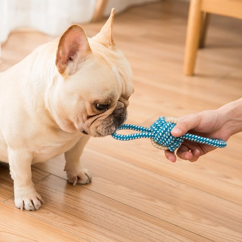 Mini Dog Toys Interactive Cotton Rope Chew Ball Toothbrush Puppy Toy for Teething Large Small Dogs Pet Accessories