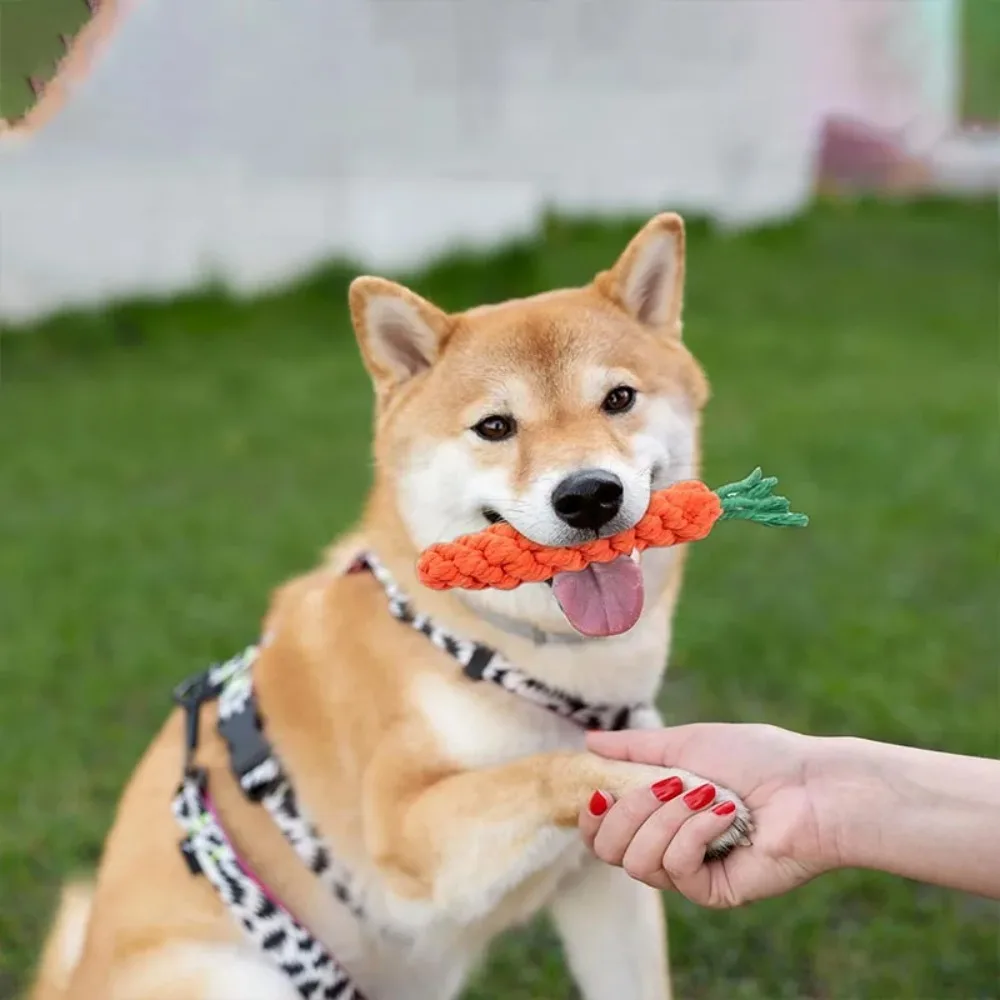 Carrot Shaped Dog Rope Toy Safe Durable Woven Cotton Chew Teething Toy Teeth Cleaning for Puppies Pet Molar Supplies