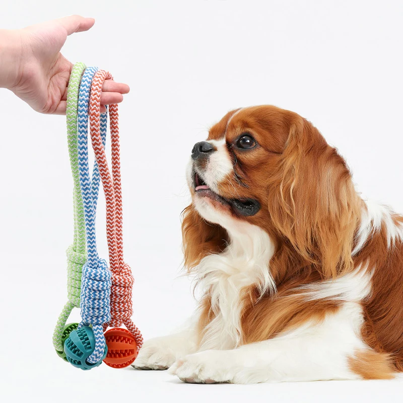 Pet Tooth Cleaning Pet Ball Toy with Rope Rubber Leaking Balls Toy for Small Large Dogs Puppy Chewing Bite Resistant Toys