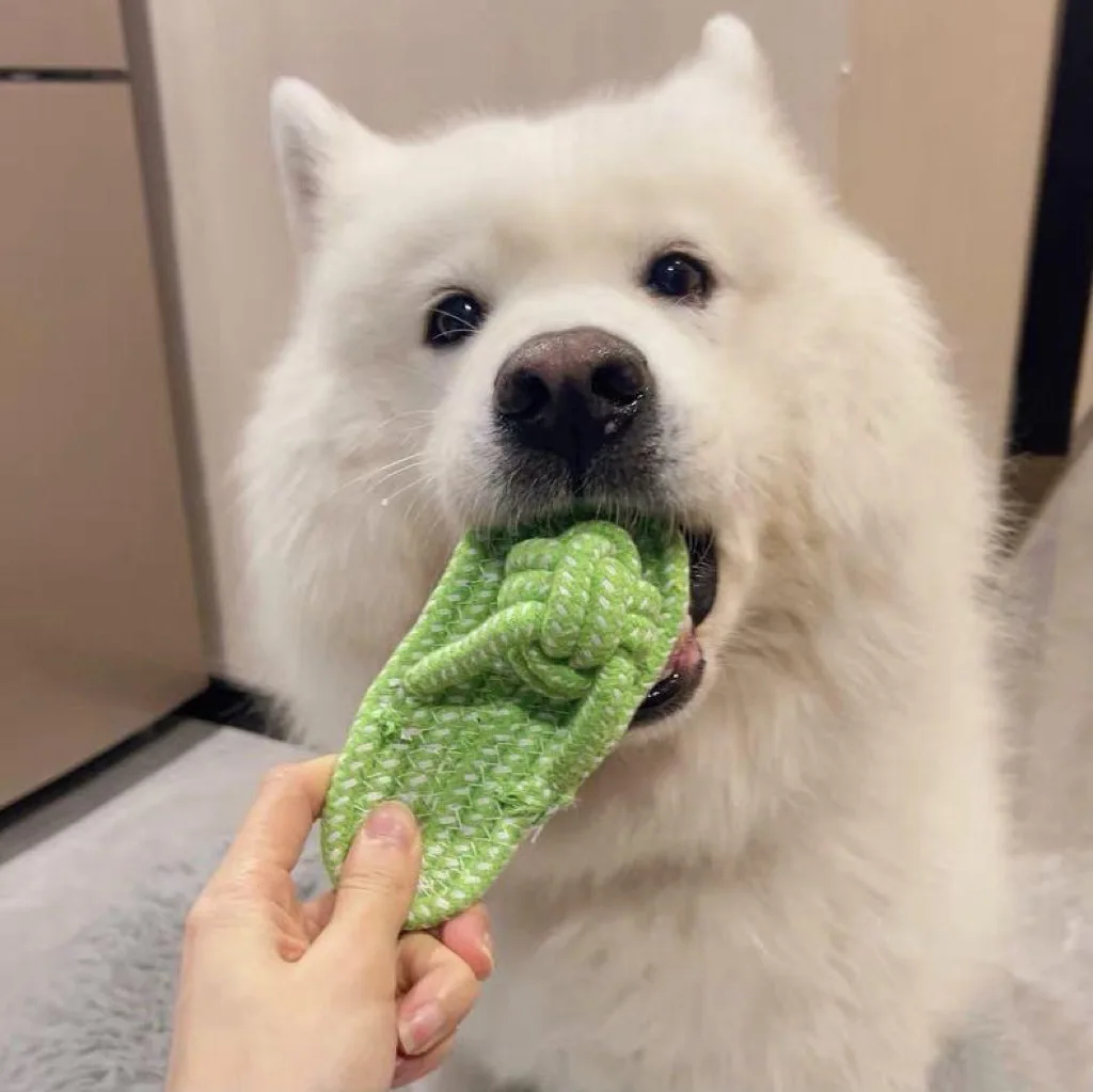 Pet Interactive Chewing Toy Slipper Shaped Cotton Rope Dog Molar Toy Teeth Health Grinding Toy For Dog Daily Training & Play