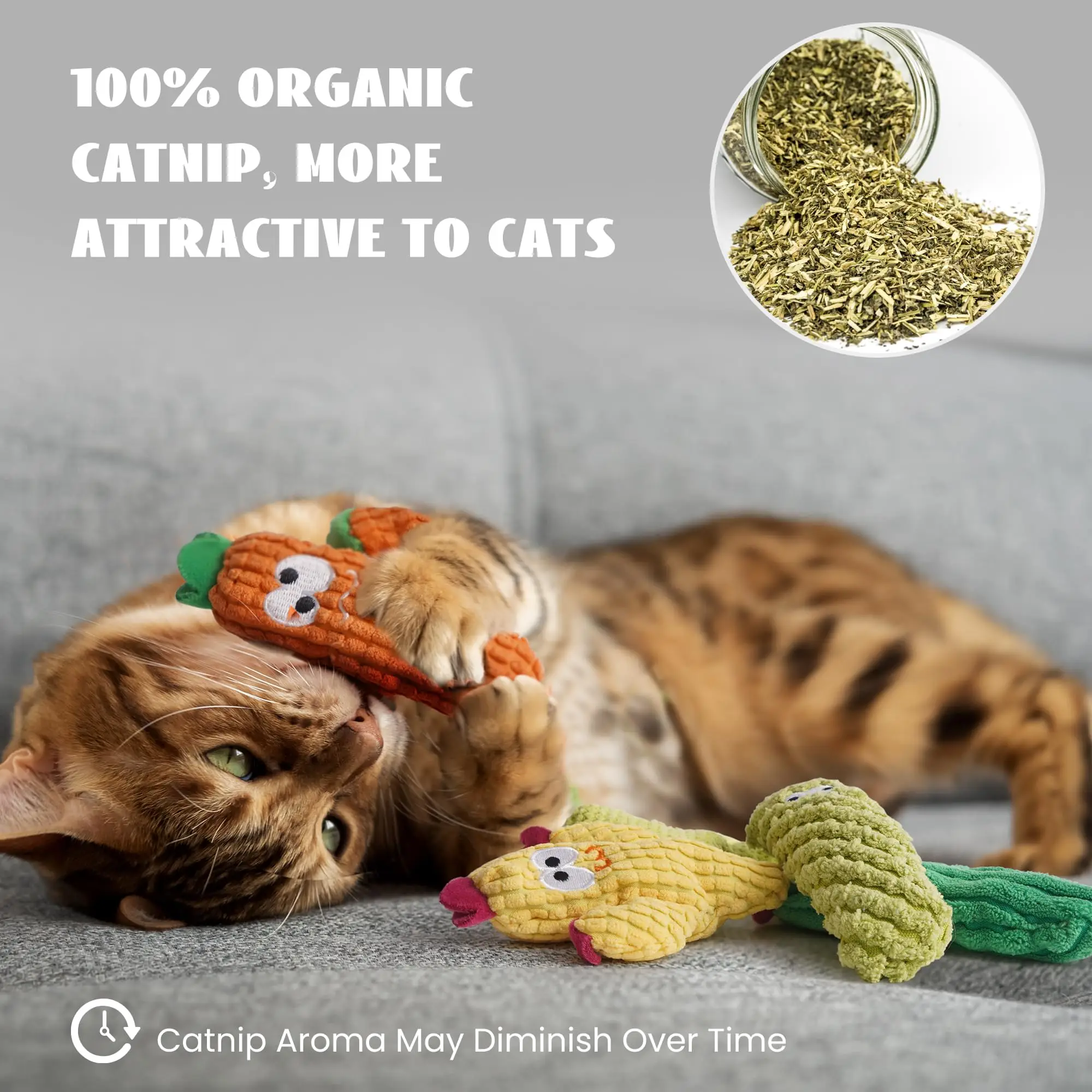 1/5 PCS Cat Toys for Indoor Cats,100% Pure Organic Catnip-Filled Toys Without Cotton,Interactive Cactus Toy for Anxiety Relie